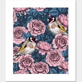 Pink Rose flowers and goldfinch birds Posters and Art